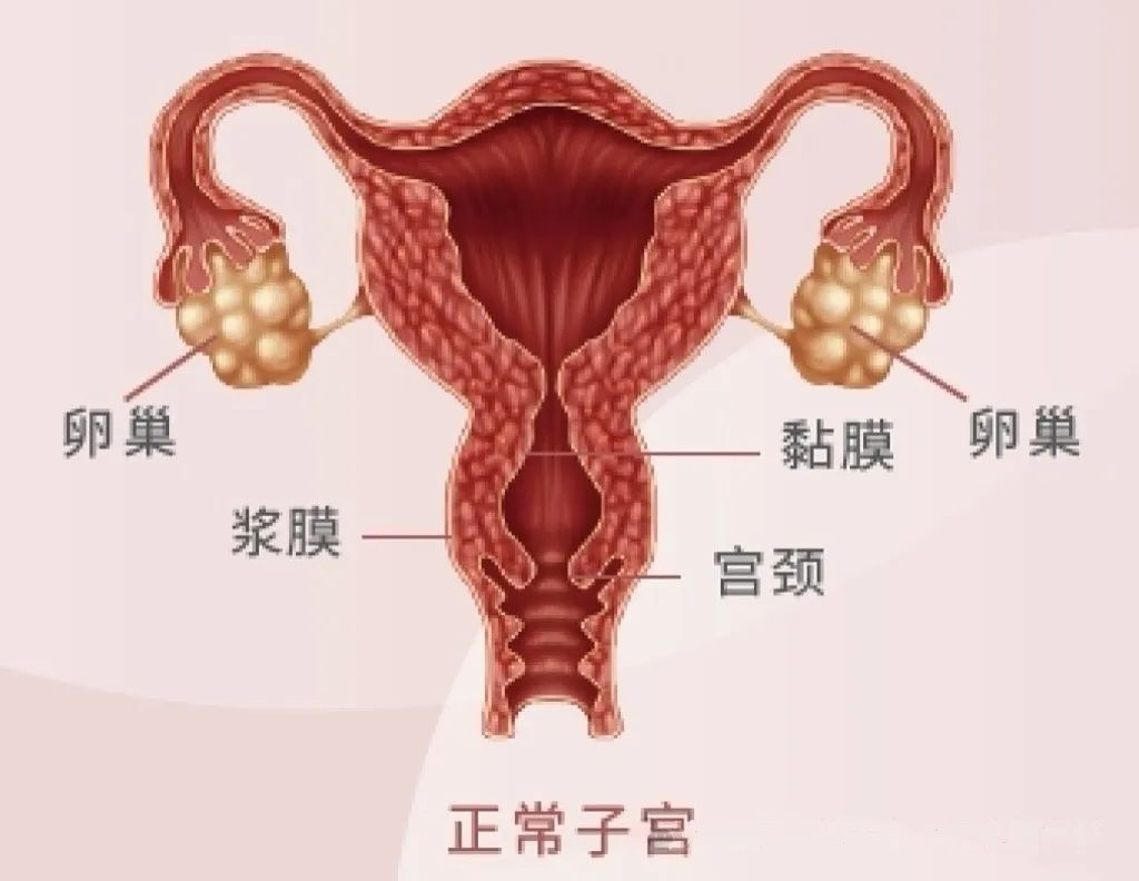 用爱守护，“针”心奉献。